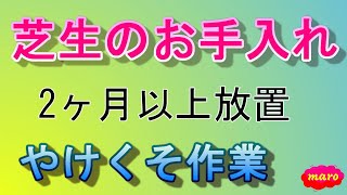 【芝生の刈込】長期間放置した芝生、雑草除去から最終手入れまで、強行作業