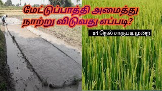 நெல் சாகுபடி | மேட்டுப்பாத்தி அமைத்து நாற்று விடுவது எப்படி