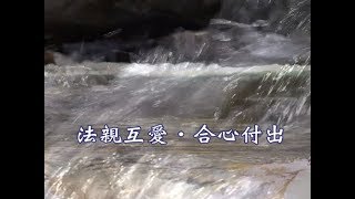 【證嚴上人衲履足跡】20170902 - 法親互愛．合心付出