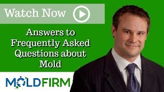 Are You Entitled to Compensation for Injuries or Damages from Toxic Mold? | Carson Jeffries