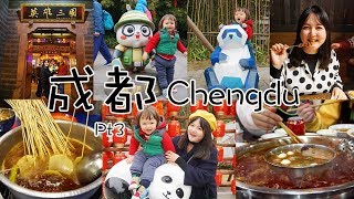 CHENGDU VLOG Part 3  | 成都游完结篇！带小包总去看大熊猫啦、黄龙溪古镇、打卡网红马路边边串串，成都！下次见！