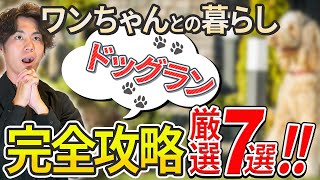 ワンチャンのいる庭づくり解説！！外構のメンテナンスや適切な芝生を徹底解説！庭づくりでもドッグランの作り方にフォーカスし解説【ドッグラン作りのプロが解説】