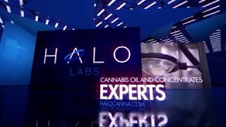 Halo Labs Overview