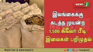 இலங்கைக்கு கடத்த முயன்ற 1,500 கிலோ பீடி இலைகள் பறிமுதல் || thoothukudi