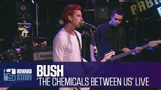 Bush “The Chemicals Between Us” Live on the Stern Show (1999)