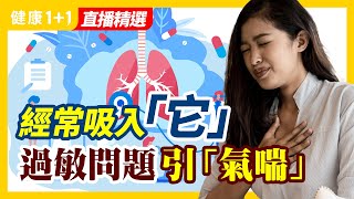 小時候沒氣喘，成年就不可能有氣喘？｜經常吸入「它」引起過敏問題「氣喘」| 健康1+1 · 直播