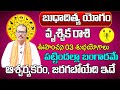 బుధాదిత్య యోగం | Vruschika Rasi Phalalu 2024 Telugu | Vruschika Rasi Phalalu September 2024 |Scorpio