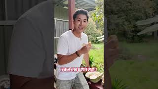 久违的回到家乡，还是忍不住去找点榴莲吃哈哈 Part6 #shorts【马来堂哥】#马来西亚