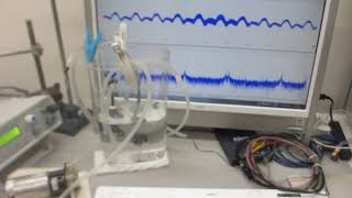 超音波の基礎実験ーー小型ポンプによる、音響流制御を利用した、流水式超音波制御技術ーー（超音波システム研究所）