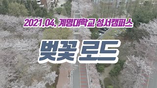 계명대학교 성서캠퍼스 / KEIMYUNG UNIVERSITY Seongseo Campus / 벚꽃 / Cherry Blossom / 드론 / Korea Drone