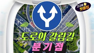 [고고씽 핫클립] ♥ 아리까리 헷갈리는 도로의 갈림길! 분기점이란?