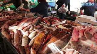 Exploring the Marsaxlokk Fishing Village in Malta