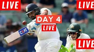 IND vs AUS LIVE | 3rd Test Day 4 | India vs Australia Live Cricket Scorecard & Commentary|live match