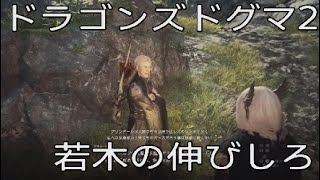 53話実況　若木の伸びしろクエスト【ドラゴンズドグマ2  ニ周目】