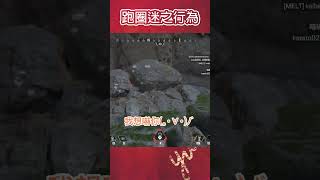 APEX｜跑圈太無聊，就會出現一些迷之行為(〃∀〃)