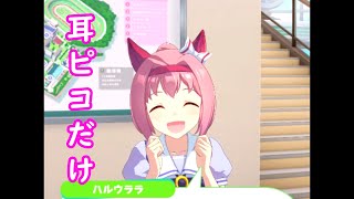 【ウマ娘】ハルウララの耳ピコを見たいだけ