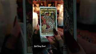 Your NEXT 48 hours | Red Fairy Tarot #shorts