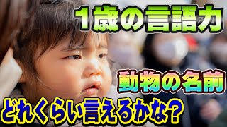 【1歳の言語力】上野動物園で1歳児に動物の名前を言ってもらったら可愛かった！！