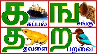 Tamil uyirmei ezhuthukkal | தமிழ் உயிர்மெய் எழுத்துக்கள் | க ங ச ஞ| Tamil alphabets @PRINIT1419