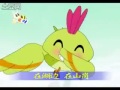 kids song《小鸟小鸟》xiǎo niǎo xiǎo niǎo