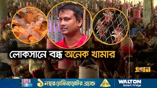 নানামুখী সংকটে নাটোরের পোল্ট্রি খামারিরা | Poultry News | Natore News | Ekhon TV