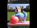 狗 狗狗 dog doggy 好笑 搞笑 yoga 瑜伽 funny