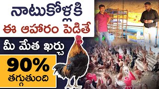 How To Start Profitable Country Chicken Farming | Country Chicken Feed in Telugu | Natu Kodi Feed