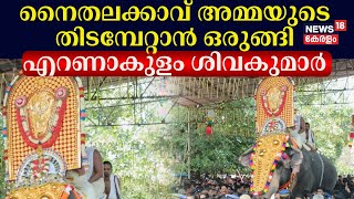 Thrissur Pooram 2024 | Naithalakkavu അമ്മയുടെ തിടമ്പേറ്റാൻ ഒരുങ്ങി ഗജവീരൻ Ernakulam Sivakumar