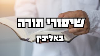 הרב אהוד תוהמי - מסכת מכות דף כא.