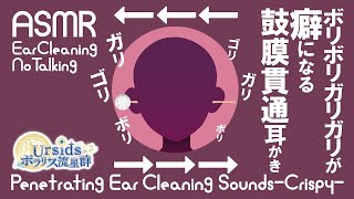 [ASMR] Crispy Penetrating Ear Cleaning Sound#02 [No Talking]
