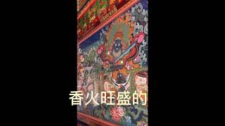 西藏街头寺庙和仓央嘉错情人餐厅