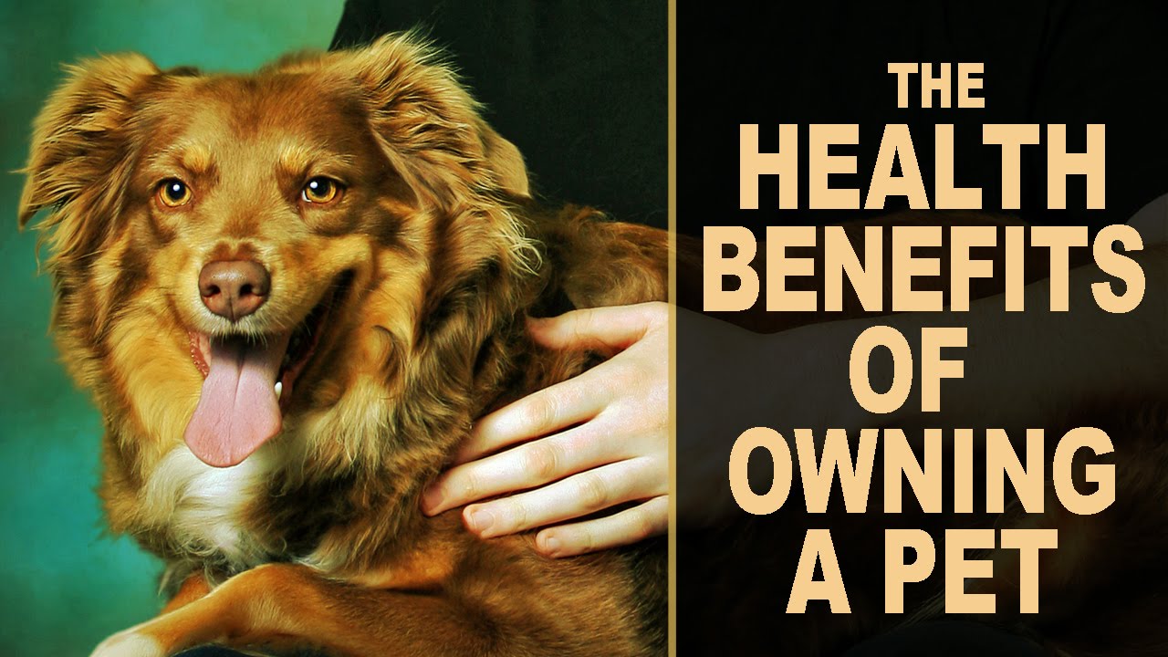 The Health Benefits Of Owning A Pet - YouTube