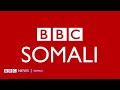 deg deg wararka maanta bbc news somali 17 june 2023