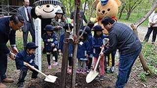 サクラの苗植樹　夜桜ライトアップも　小樽・長橋なえぼ公園（2015/05/09） 北海道新聞