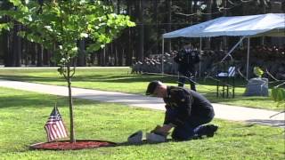 Army 3ID Dedicates Trees For Fallen Soldiers