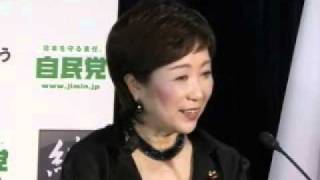 小池百合子総務会長 定例記者会見(2011.8.2)