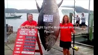 Top 10 big fish catch. Biggest catfish ever caught!!!