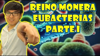 [ BIOLOGIA FREE ] - REINO MONERA - BACTERIAS I 👉😍🌿