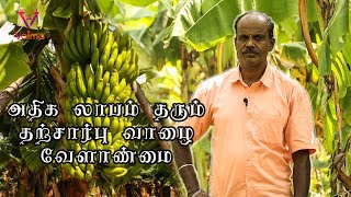 அதிக லாபம் தரும் தற்சார்பு வாழை வேளாண்மை | இயற்கை விவசாயி மணியின் வெற்றி ரகசியம் | Vaima