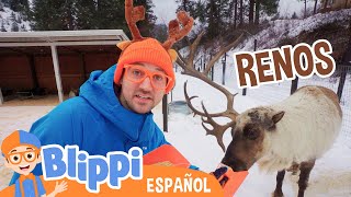 Blippi visita una granja de Renos