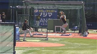 2023.3.15 DeNAvs阪神タイガース③　井上広大フリー打撃　今岡コーチに似せてきてる？