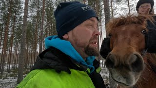 Hevosten yhteislenkki, Varsalle vauhtireeniä ja lopuksi Paukku-bonus