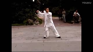 Wu Style Tai Chi Fast frame from Wu TuNan吳圖南傳 吳式太極拳快架  Chen GenYuan 陳根源