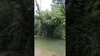 Oy nani / söz :müzik Anonim