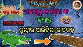 ପ୍ରଭୁ ଜଗନ୍ନାଥ ଙ୍କ କୃପାରୁ କୁମ୍ଭୀର ପାଲିଟିଲା କାଠଗଡ଼ ॐ ପଦ୍ମନାଭ ତ୍ରିପାଠୀॐ Lord Jagannath Tales Padmanavha