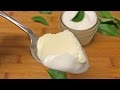 How to Make Yogurt at Home How to Make Yogurt at Home