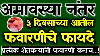 अमावस्या आणि बोंडआळी मधील शास्त्रीय कारण | profexsuper insecticide | अंडी नाशक | बोंड आळी फवारणी