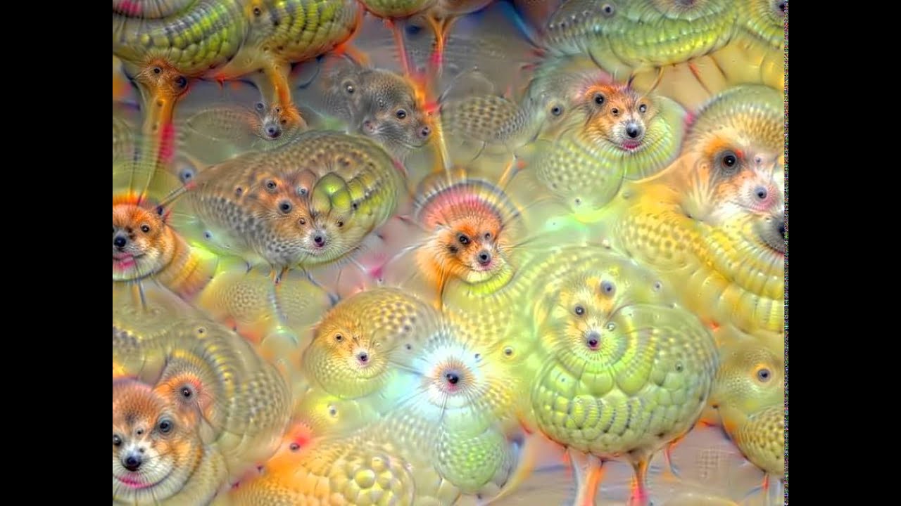 Google Deepdream Ai Youtube