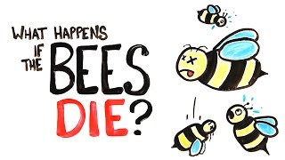 What Happens If All The Bees Die?