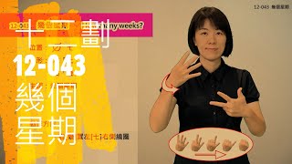 臺灣手語語料彙整【幾個星期】12 043